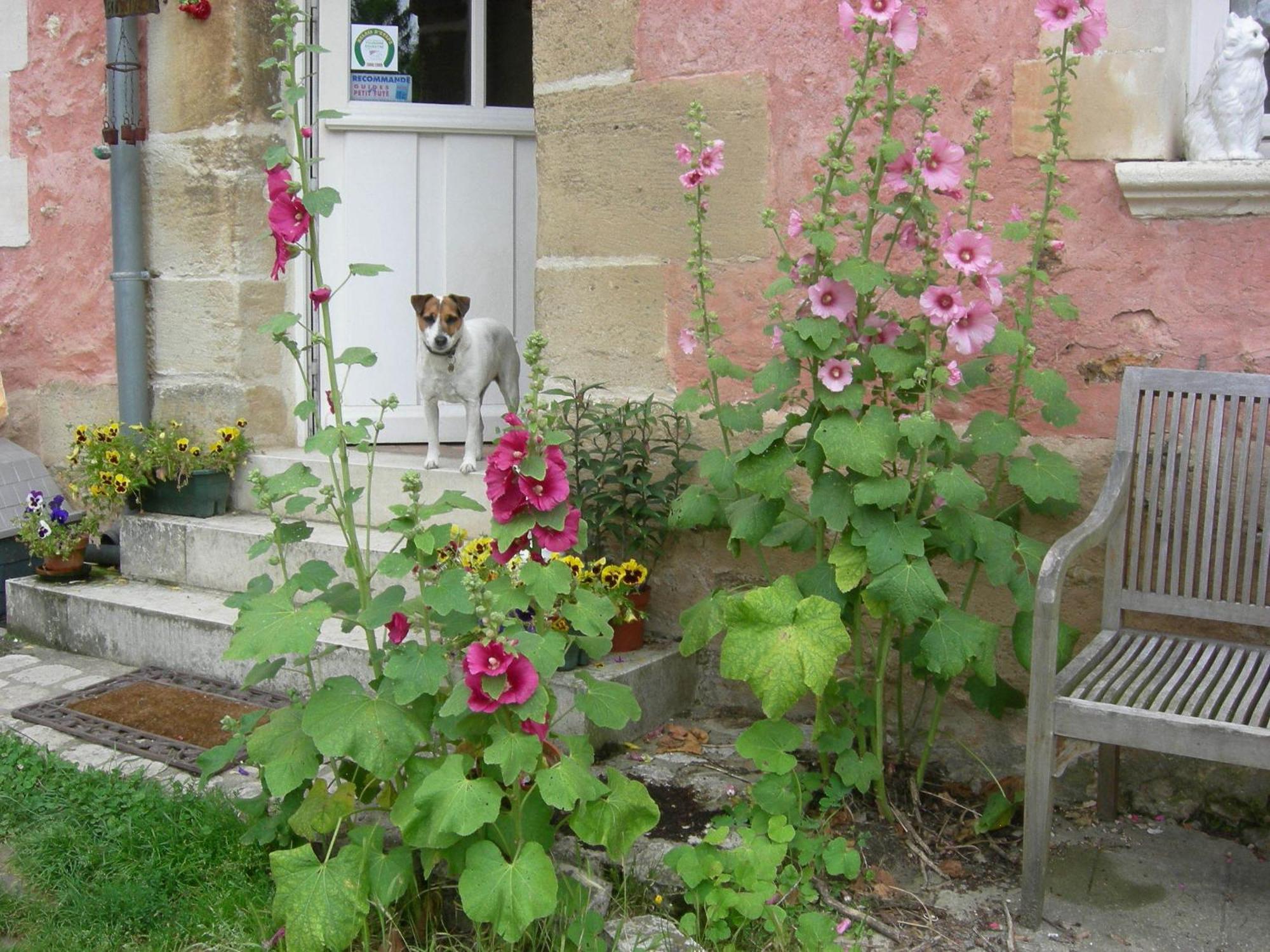 La Ferme Rose Bed & Breakfast แซร์ฌี ภายนอก รูปภาพ